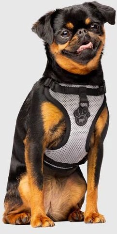 Canada Pooch Everything Harness Splatter