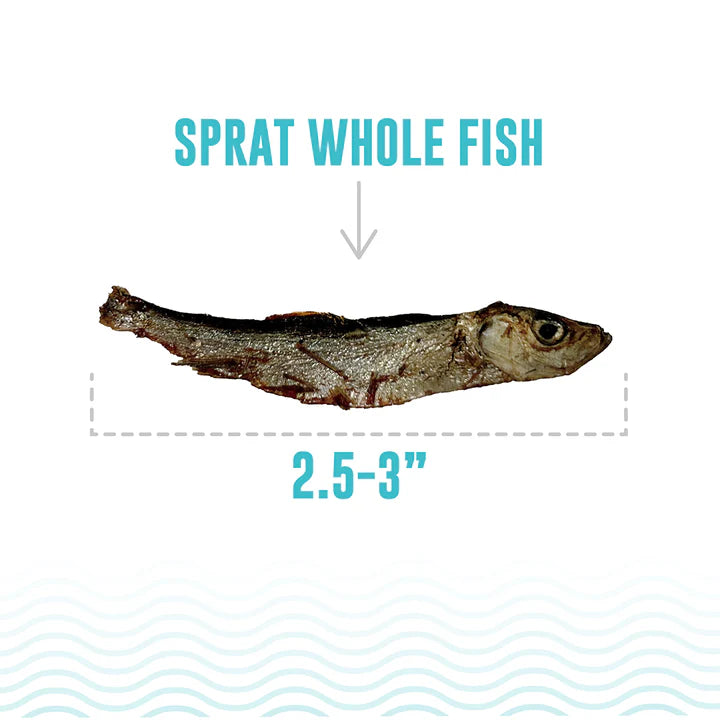 Icelandic Sprat Whole Fish Dog Treats 2oz