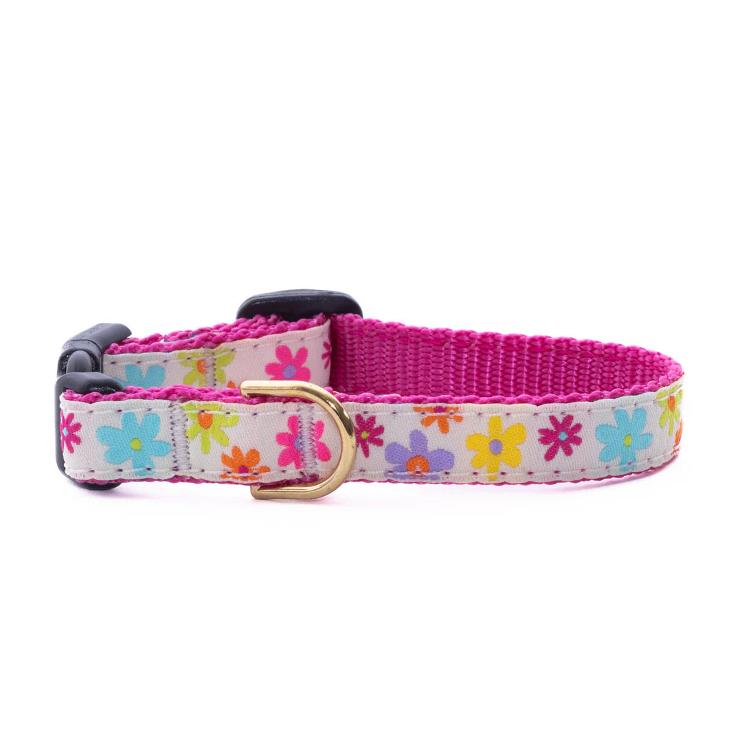 Up Country Spring Fever Collar