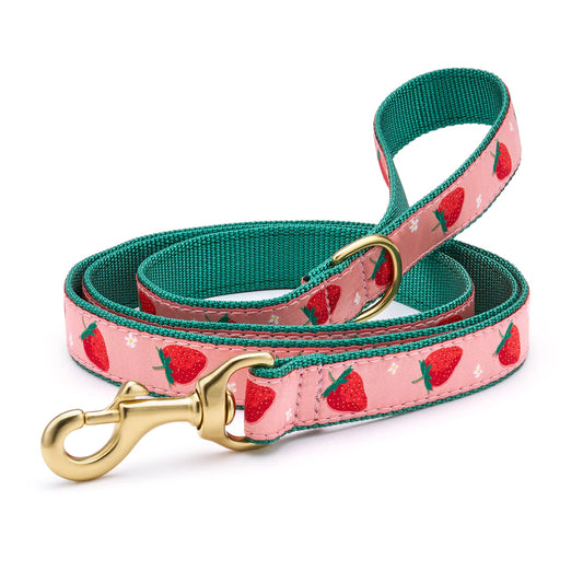 Up Country Strawberry Fields Leash