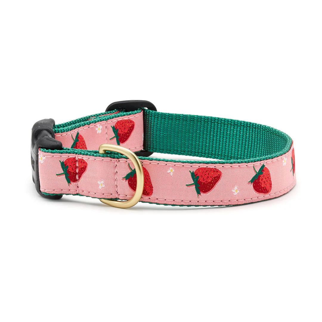 Up Country Strawberry Fields Collar