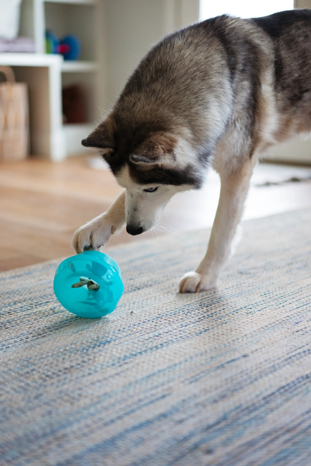 Totally Pooched Stuff N Wobble Ball Teal