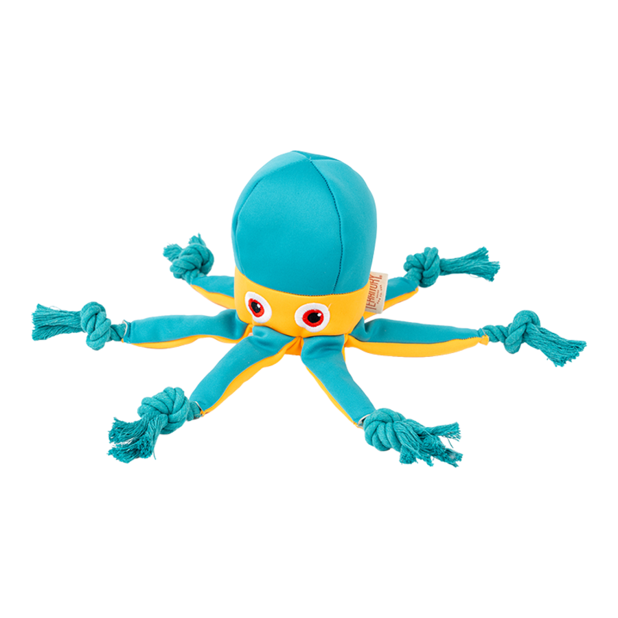 Territory Dog Floating Jellyfish