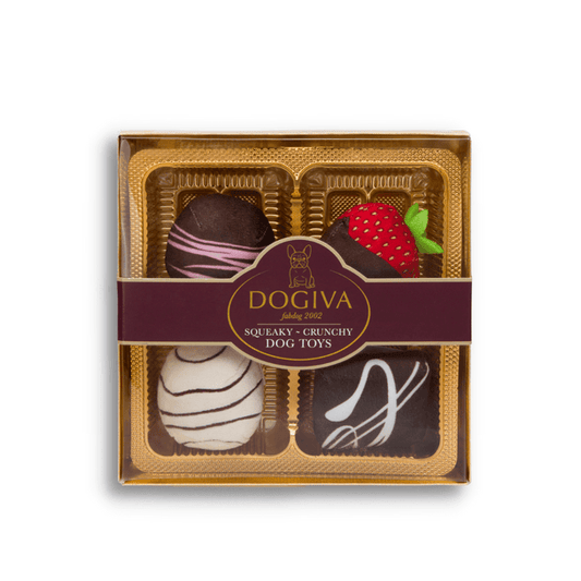 Fab Dog Toy Dogiva Chocolate Toys