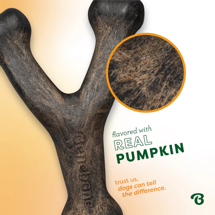 Benebone Limited Addition Medium Pumpkin Spice Wishbone