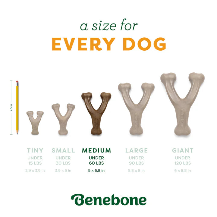 Benebone Limited Addition Medium Pumpkin Spice Wishbone