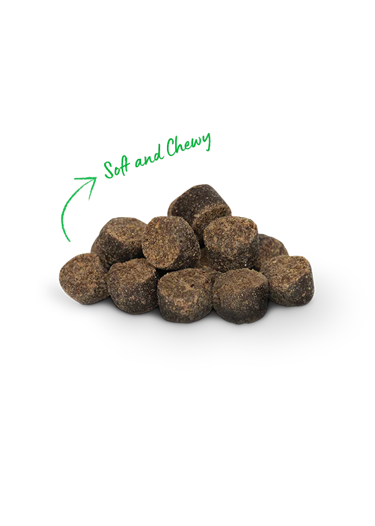 Open Farm Be Good Bites Soft & Chewy Dog Treats