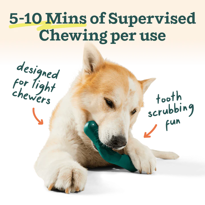 Woof Bite N Brush