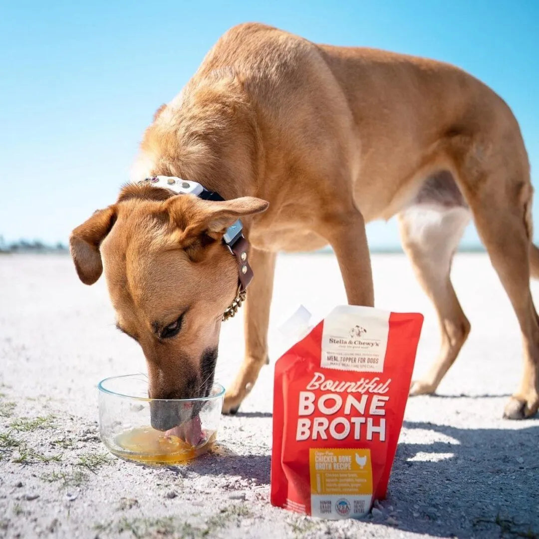 Stella & Chewy's Bountiful Bone Broth Chicken Recipe 16oz