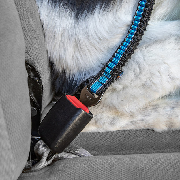 Kurgo DIrect to Seatbelt Bungee Tether Blue