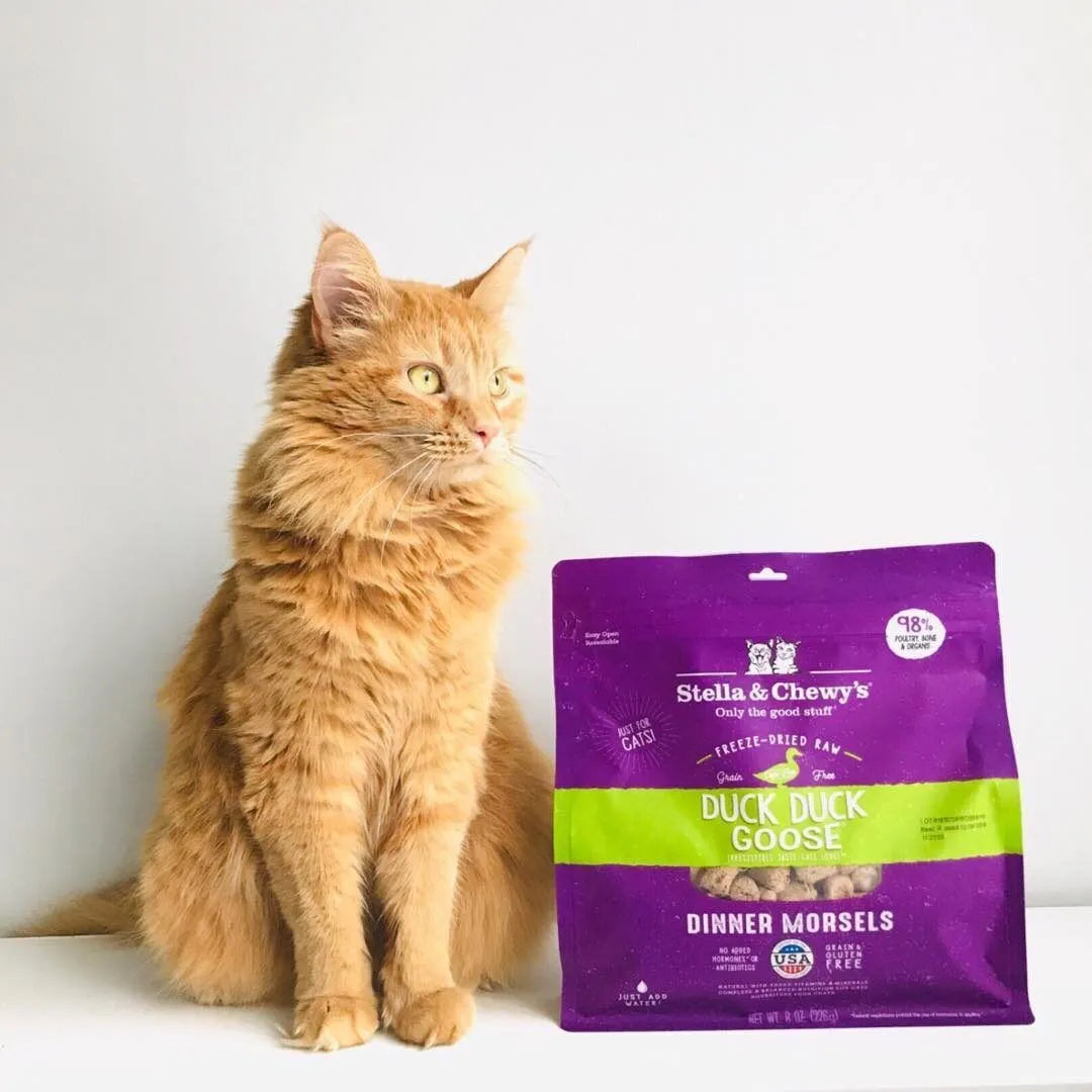 Stella & Chewy's Duck Duck Goose Freeze Dried Raw Dinner Morsels