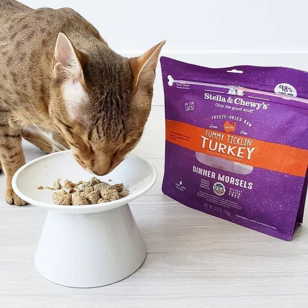 Stella & Chewy's Freeze Dried Raw Cat Food Tummy Ticklin Turkey Morsels