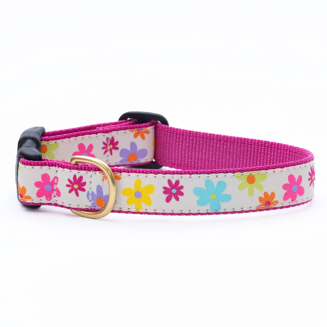 Up Country Spring Fever Collar