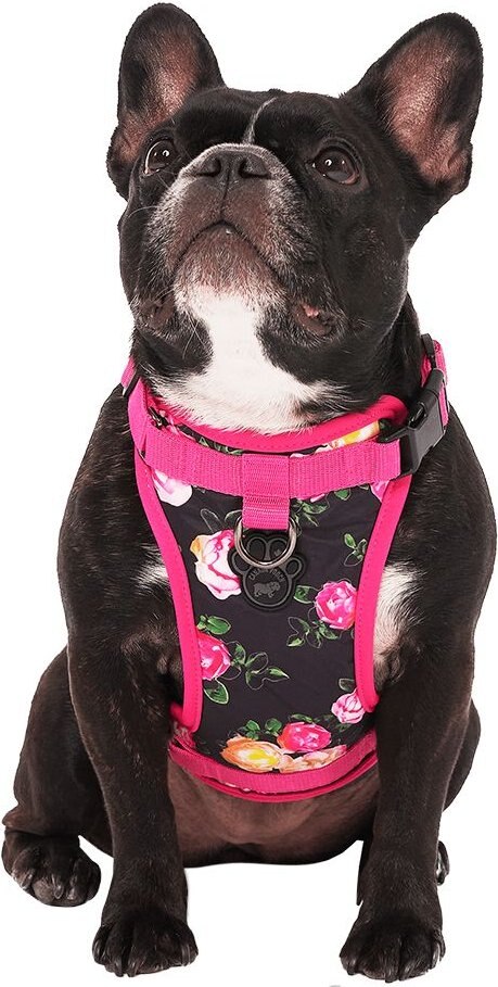 Canada Pooch No-Pull Harness Floral