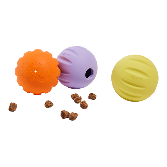 Woof Forager Flyball