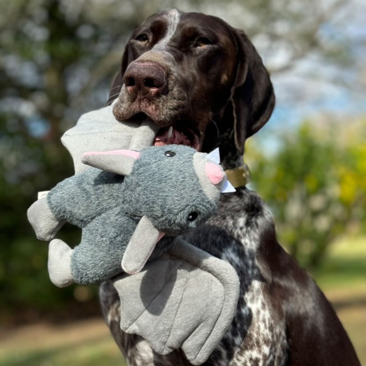 Tall Tails Dog Plush Flying Bat 15"