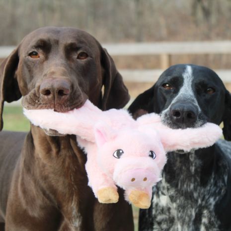 Tall Tails Dog Plush Flying Pig 12"