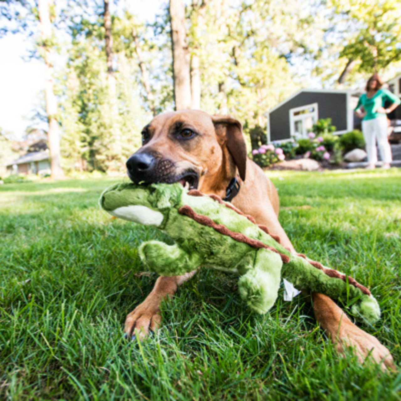 Fluff & Tuff Georgia Gator