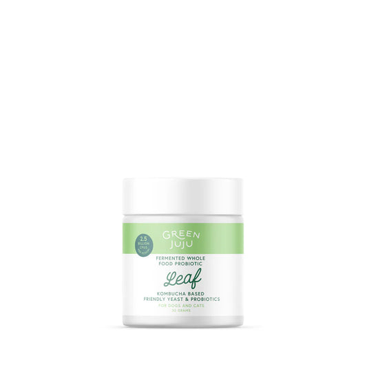 Green Juju Leaf Fermented Kombucha Probiotics 30g