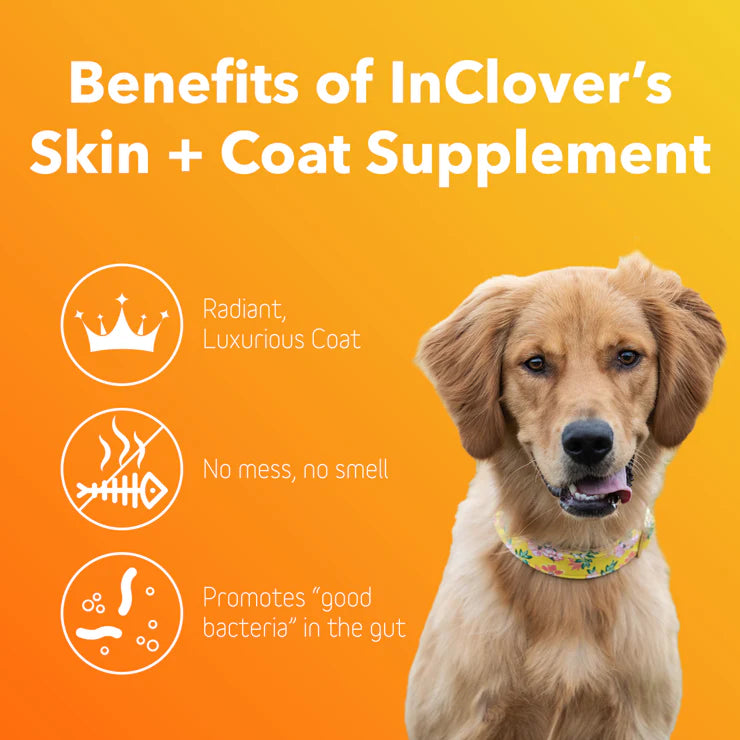 inClover Bior=Radiant Skin + Coat Support 100g