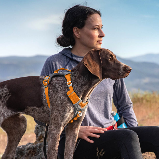 Kurgo Journey Air Dog Harness Black