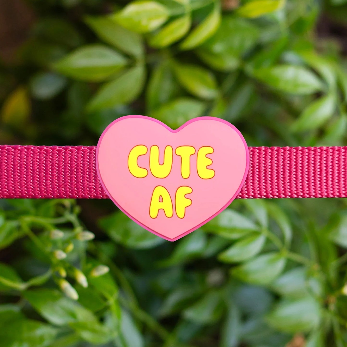 Jiby Dog Crew Charm Cute AF