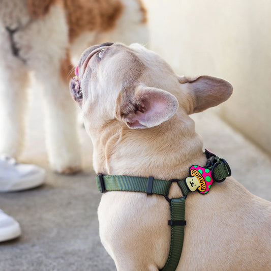 Jiby Dog Crew Charm Fun Guy