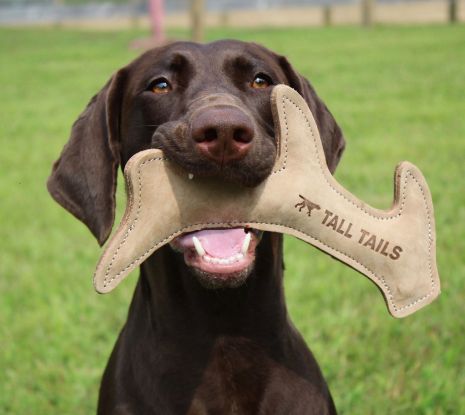 Tall Tails Leather Antler Dog Toy