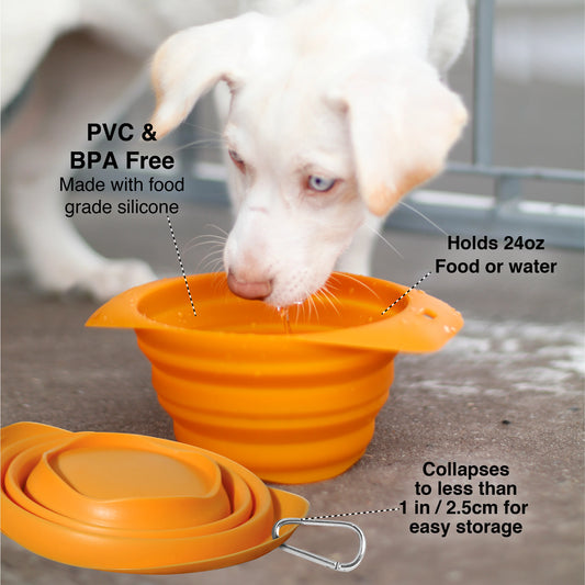 Kurgo Collaps-A-Bowl Blue