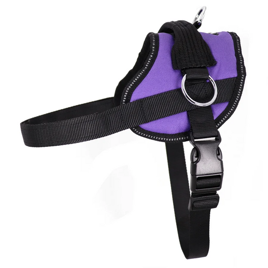 Bark Appeal Lavender Reflective No Pull Harness