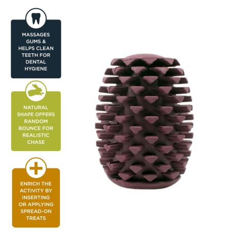 Tall Tails Natural Rubber Pinecone Reward Dog Toy