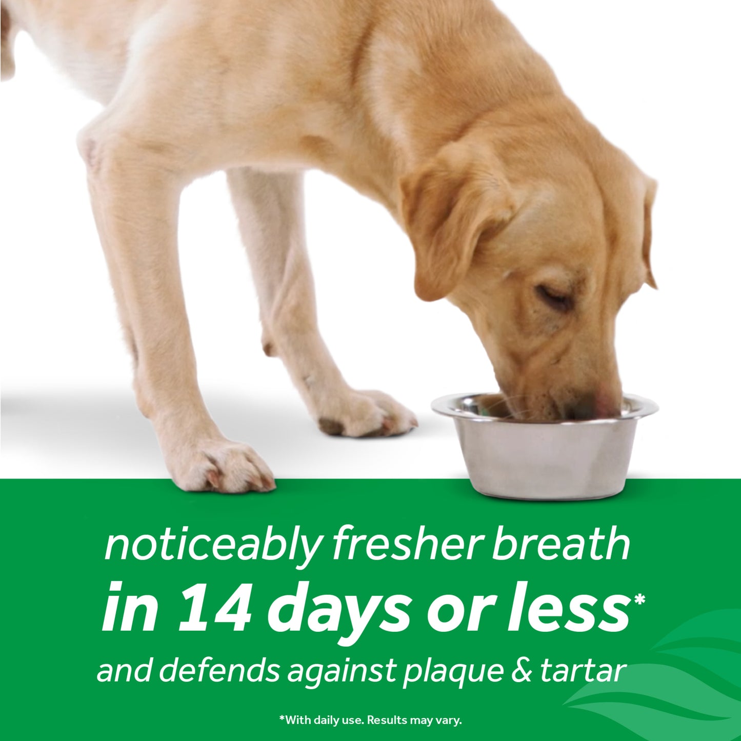 Tropiclean Dog Fresh Breath Dental Health Solution 33.8oz