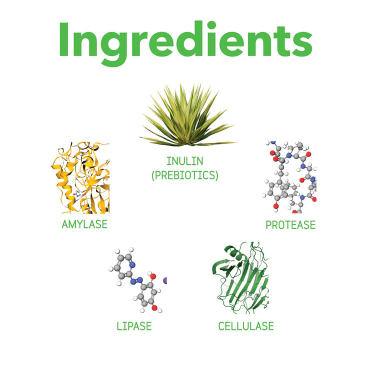 inClover Optagest Digestive Aide