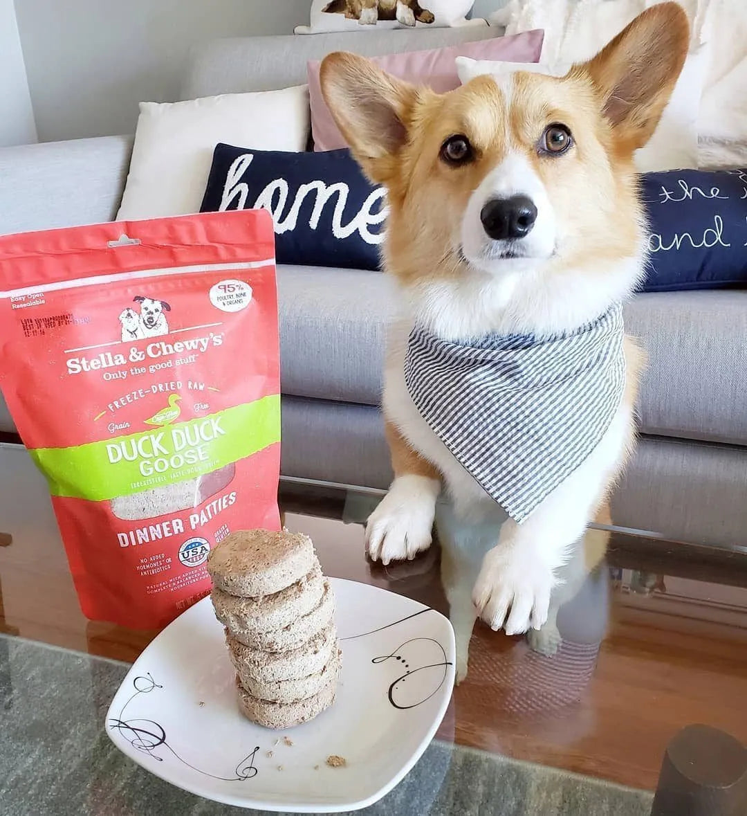 Stella & Chewy's Freeze Dried Raw Duck Goose Dinner Patties