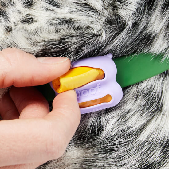 Woof Poomergency Starter Pack