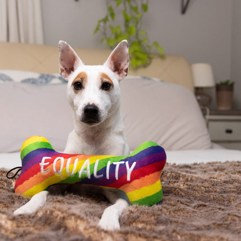 Huxley & Kent Pride Equality Bone Large