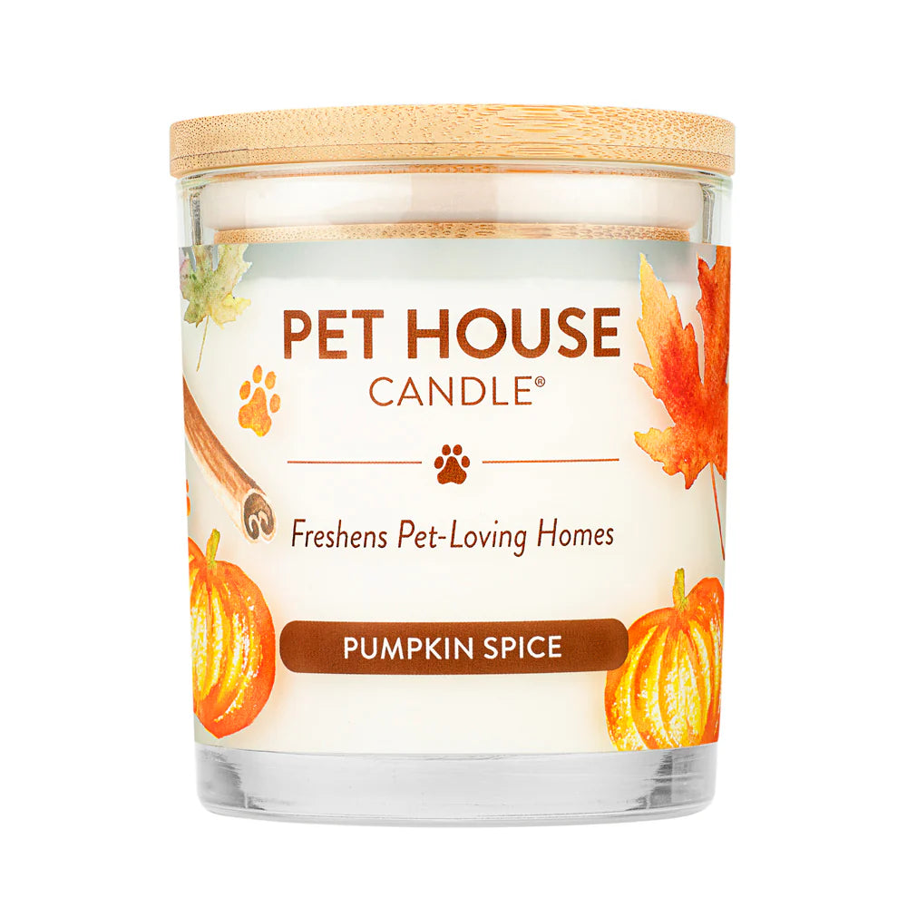 Pet House Pumpkin Spice Candle