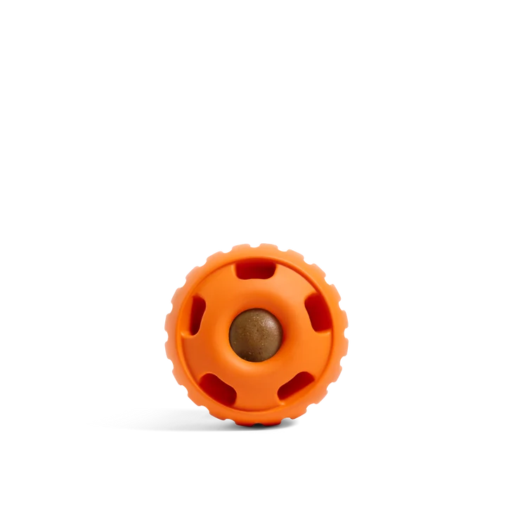 Woof Pupsicle Pumpkin Orange