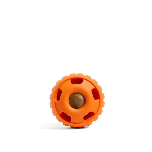 Woof Pupsicle Pumpkin Orange