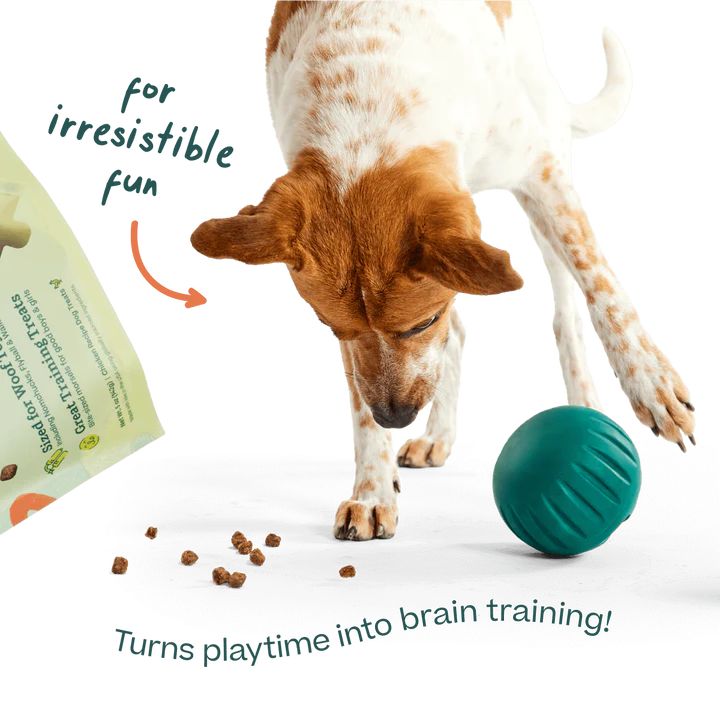 Woof Puzzle Treats