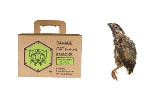 Savage Cat Frozen Whole Quail Treat 2/cs