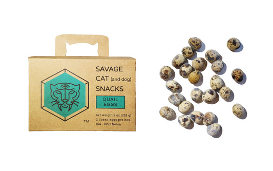 Savage Cat Frozen Quail Eggs Treat 24/cs