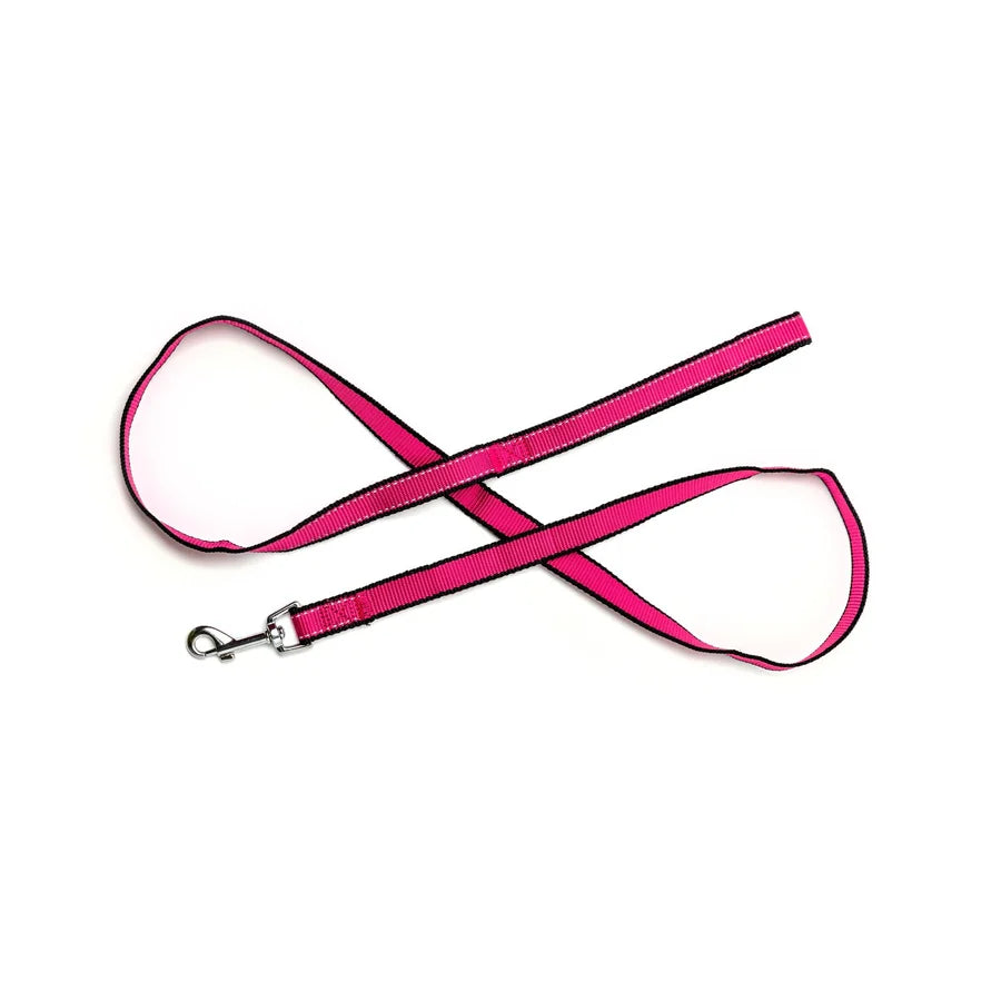 Bark Appeal Reflective Leash 5'