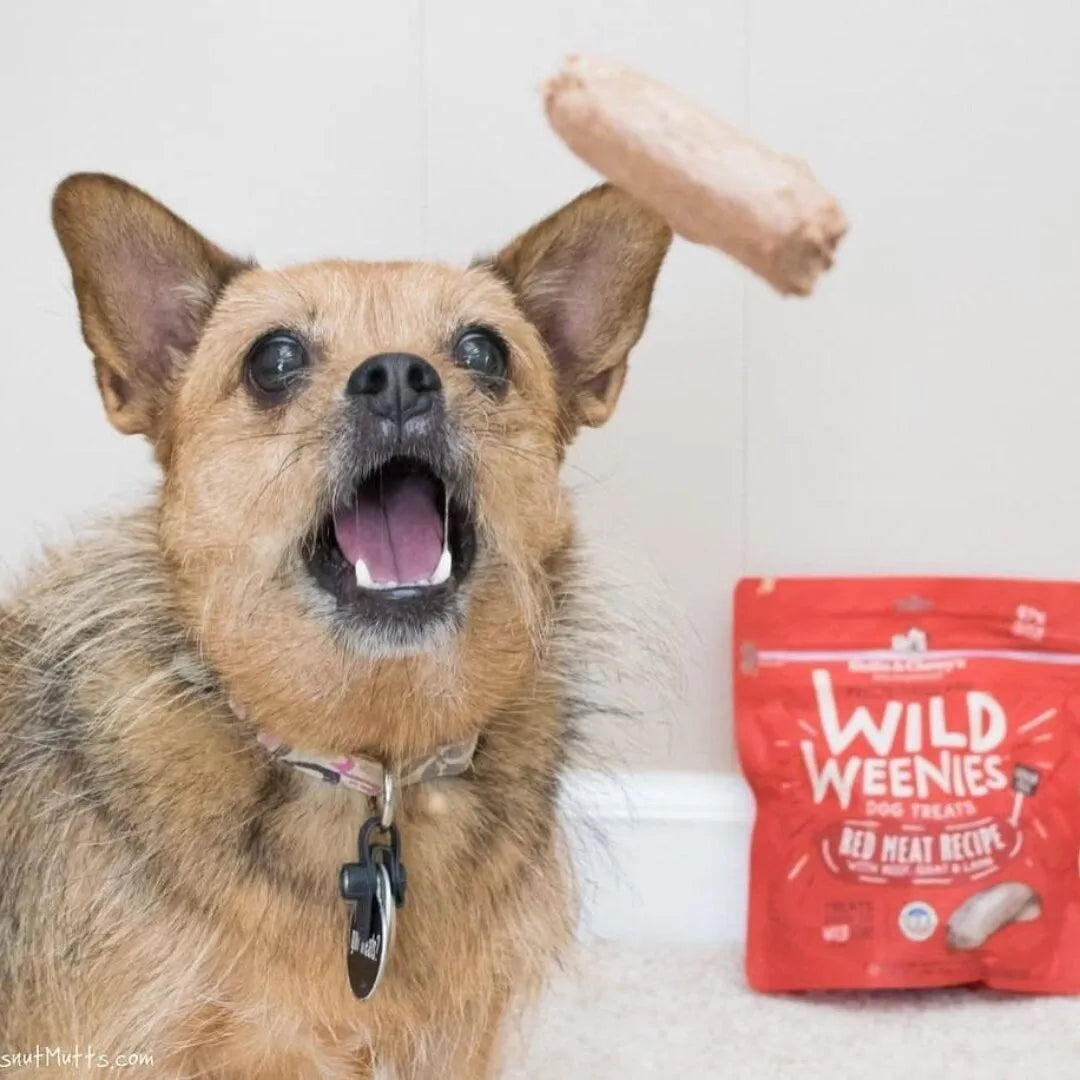 Stella & Chewy's Wild Weenies Red Meat Recipe 3.25oz