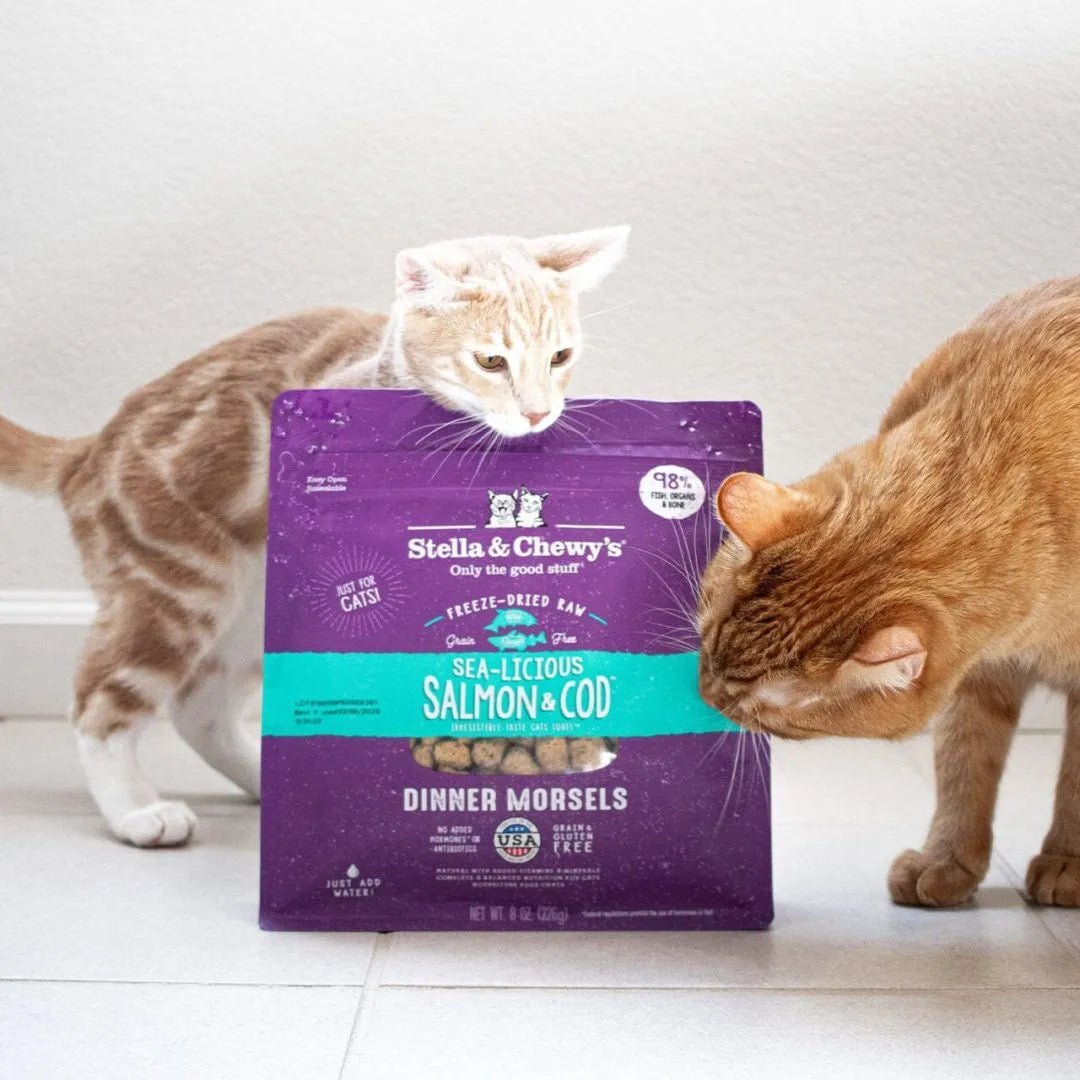 Stella & Chewy's Freeze Dried Raw Cat Food Sea-Licious Salmon & Cod