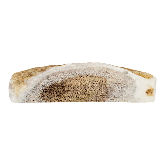 Primal Split Elk Antler Small