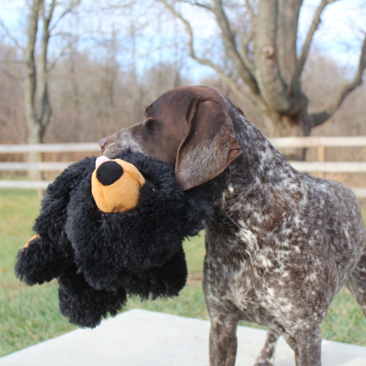 Tall Tails Dog Plush Stuffless Black Bear 20"