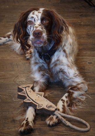 Tall Tails Natural Leather Trout Tug Toy