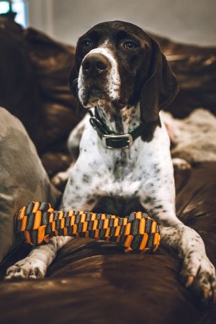 Tall Tails Braided Bone Orange 7"