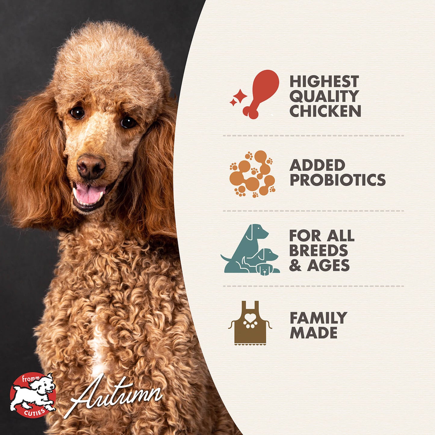 Fromm Four Star Grain Free Chicken Au Frommage Dry Dog Food